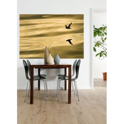 Fotomural REFLECTION