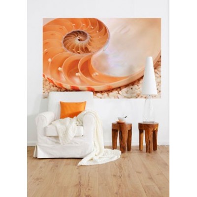 Fotomural NAUTILUS 2