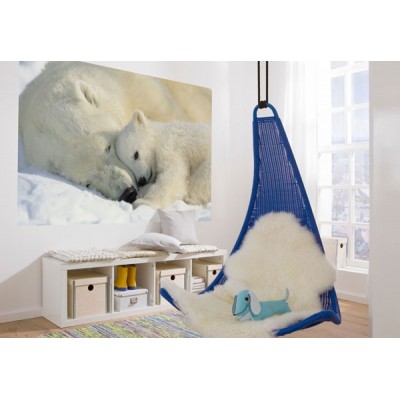 Fotomural POLAR BEARS