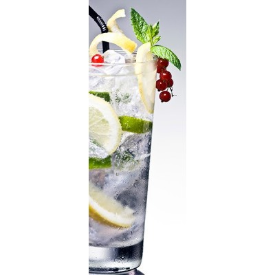 Fotomural Nevera N057 2