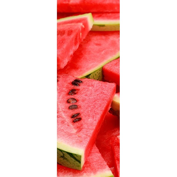 Fotomural frigorifico N059