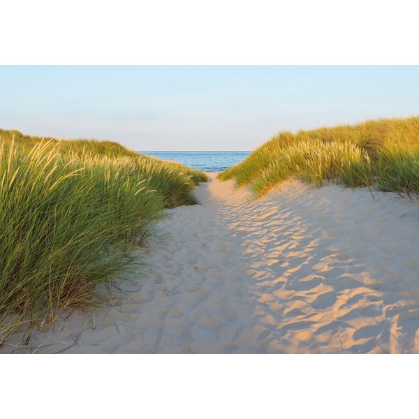 Fotomural SANDY PATH