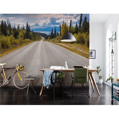 Fotomural ATLIN ROAD 2