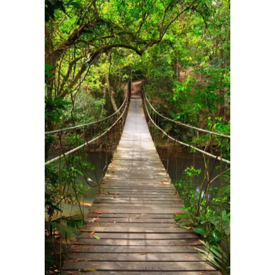 Fotomural Puente en la...