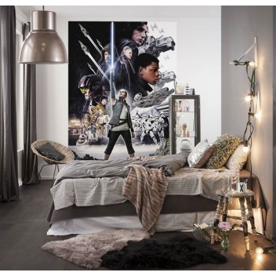 Fotomural STAR WARS BALANCE 4-496 2