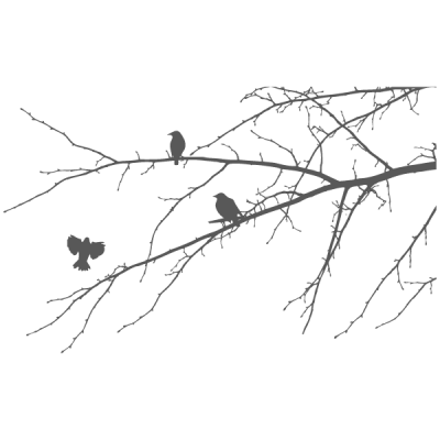 Vinilo Decorativo Moderno...