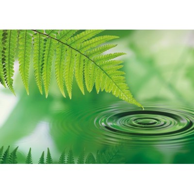 Fotomural SILENCE Fotomural SILENCE