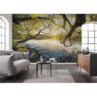 Fotomural GOLDEN EMBRACE SH080-VD4 2