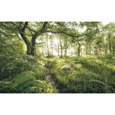 Fotomural MYSTIC PATH SH045-VD4