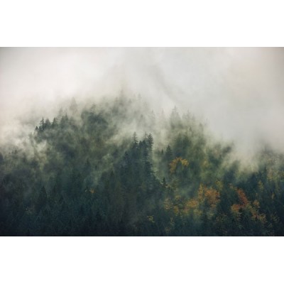 Fotomural TALES OF THE CARPATHIANS SH036-VD3
