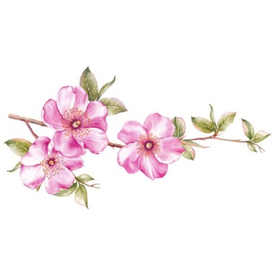 Vinilo Floral 1007 Vinilo Floral 1007