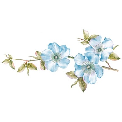 Vinilo Floral 1006 Vinilo Floral 1006