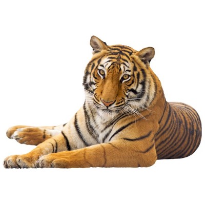 Vinilo Moderno 2012 Vinilo Moderno 2012