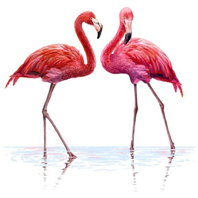 Vinilo Moderno 2010 Vinilo Moderno 2010