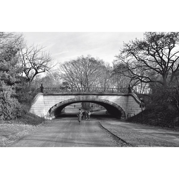 Fotomural ONE %26 DUE 2055, 400cm. x...