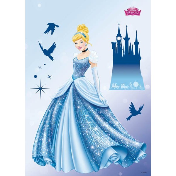 STICKER DISNEY PRINCESS DREAM 14016H