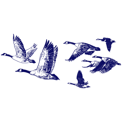 Vinilo Decorativo Moderno...