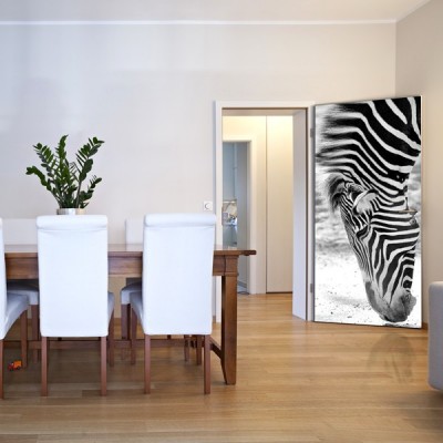 Fotomural Puerta FP067 2