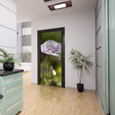 Fotomural Puerta FP064 2