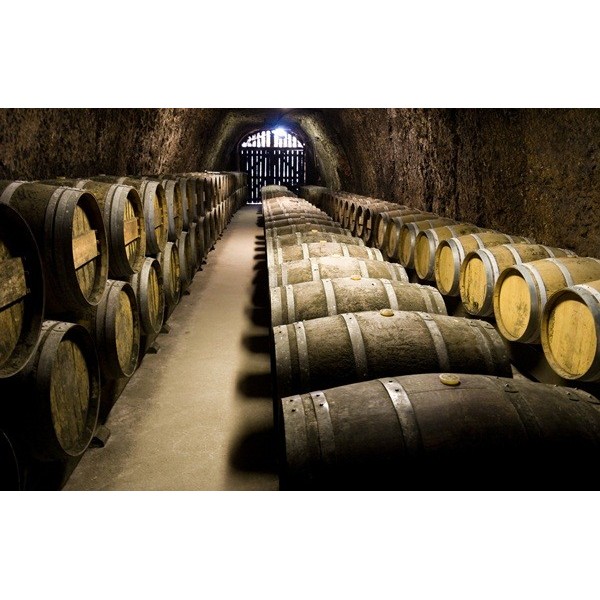 Fotomural Bodega FPR005, 324cm. x...