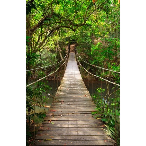 Fotomural Puente en la Selva FPR018,...