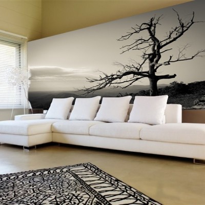 Fotomural Decorativo FV010 2