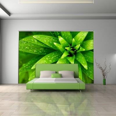 Fotomural Decorativo FV006