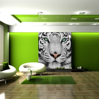 Fotomural Decorativo FV007