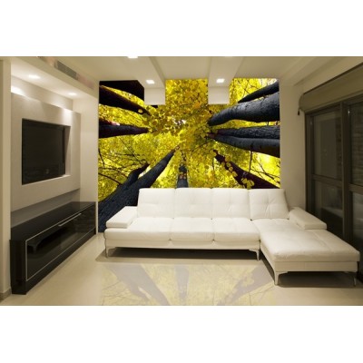 Fotomural Decorativo FV003 2