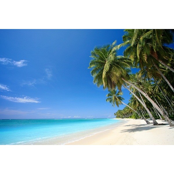 Fotomural Playa FPL013, 263cm. x...