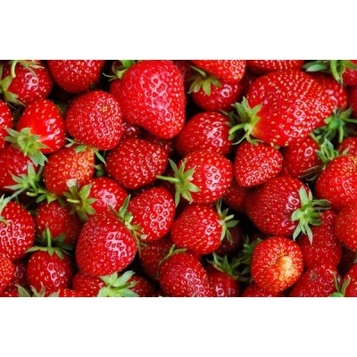 Fotomural Fresas FAL013,... 2