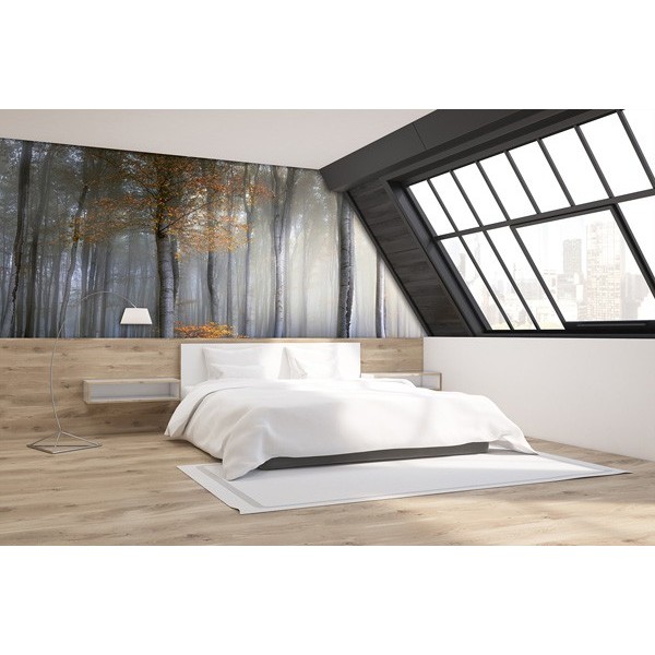 Fotomural FOGGY FOREST Fotomural FOGGY FOREST