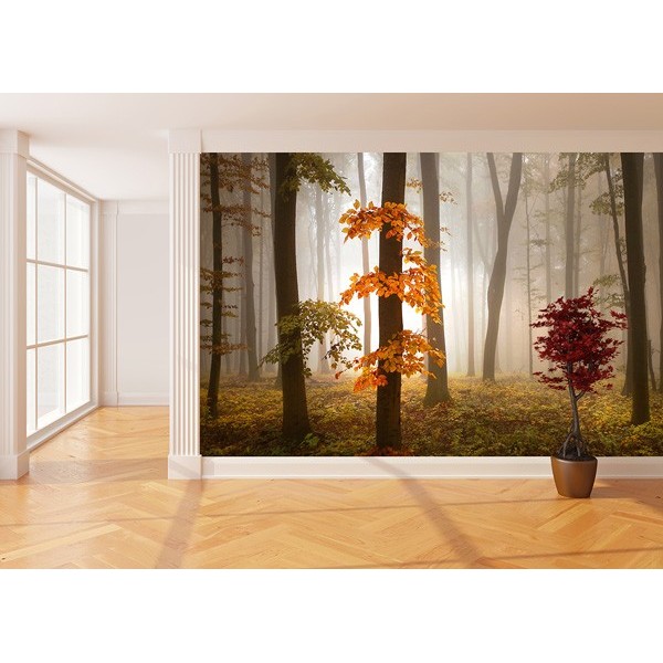 Fotomural FOGGY AUTUMN FOREST