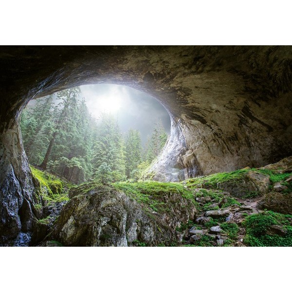 Fotomural CAVE IN THE FOREST