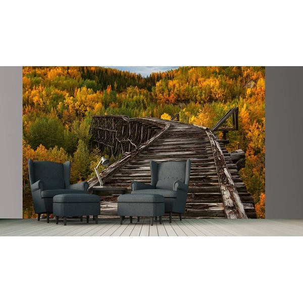 Fotomural BRIDGE IN THE FOREST