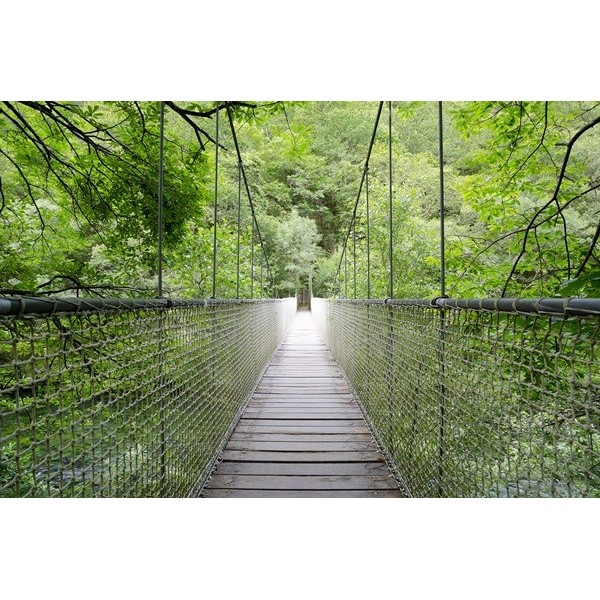 Fotomural paisaje puente FPR015,...