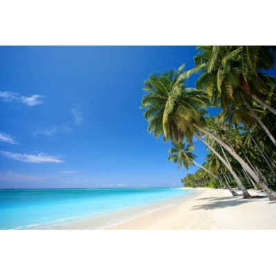 Fotomural Playa FPL013,...