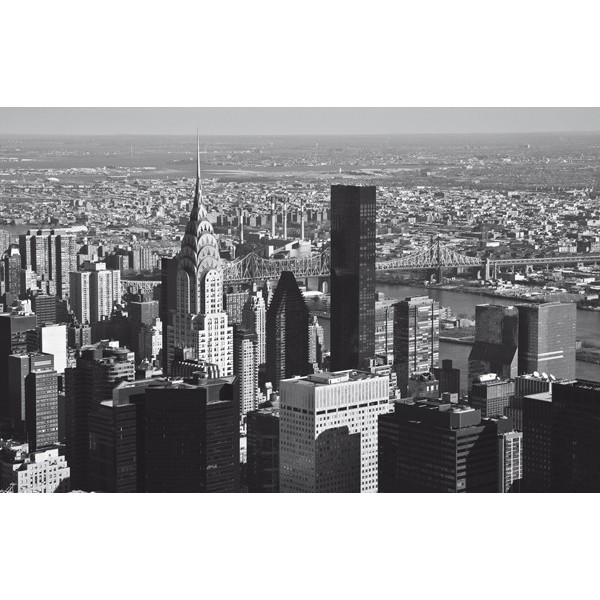 Fotomural ONE %26 DUE 2058, 284cm. x...