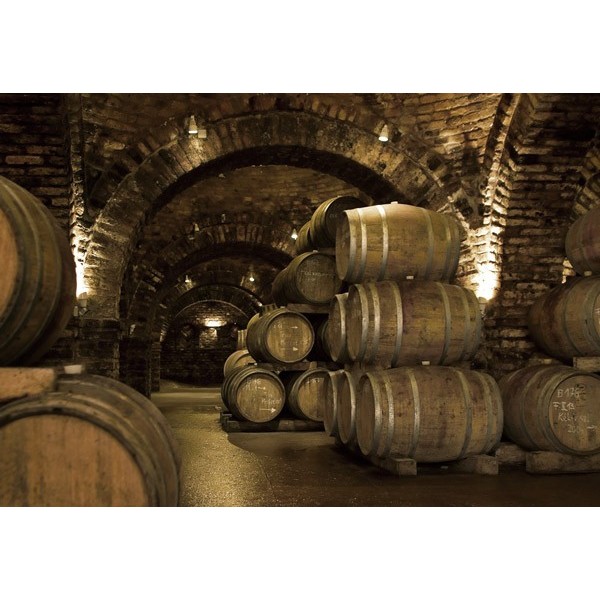 Fotomural Decorativo FV023, 200cm. x...