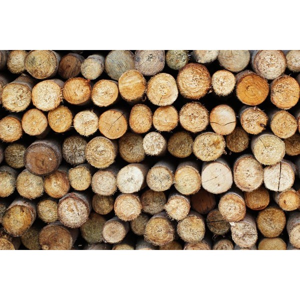 Fotomural Texturas FTX003, 330cm. x...