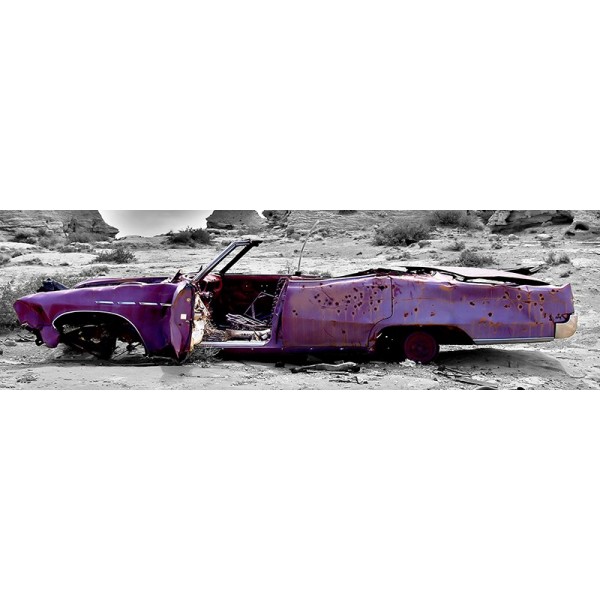 Fotomural Panorâmico Carro abandonado OP-51001