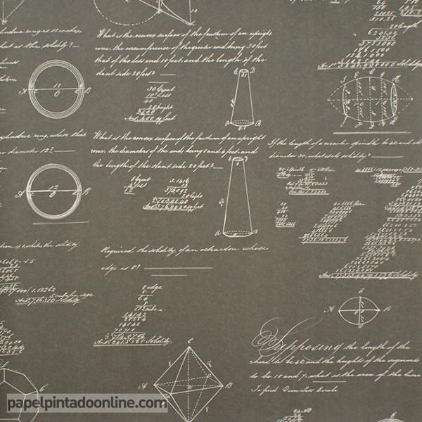 Papel pintado NAVIGATOR PYTHAGORAS CHARCOAL