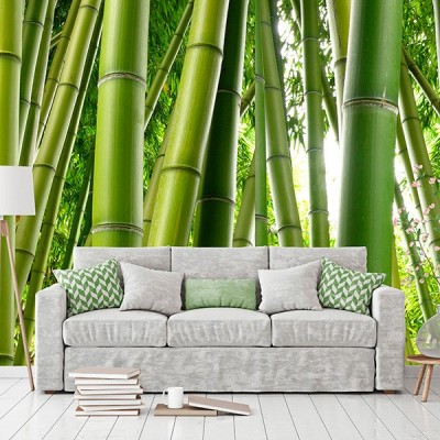 Fotomural Premium 3P-81001 2