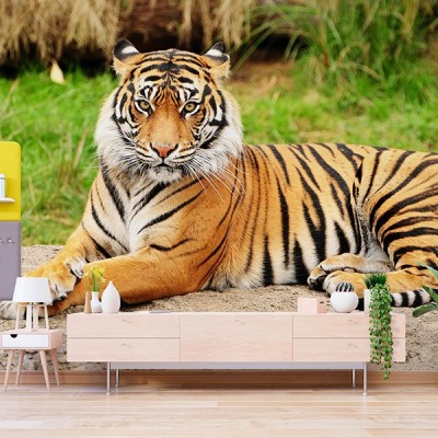 Fotomural Premium 3P-60006 2