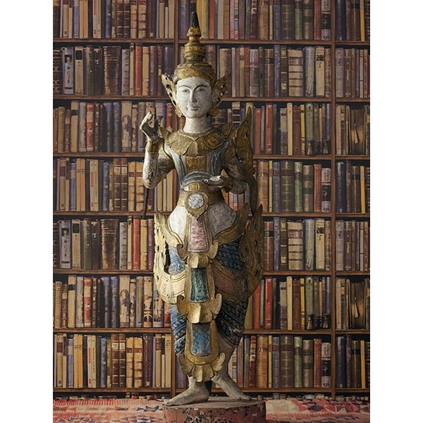 Papel pintado NAVIGATOR LIBRARY MULTI