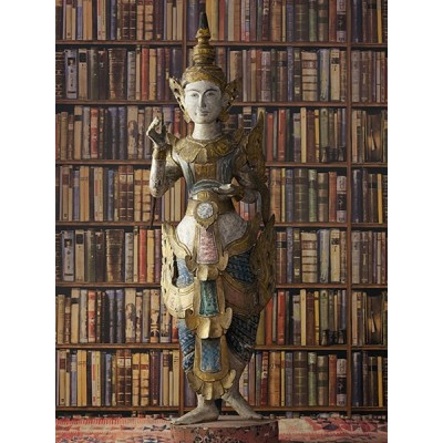 Papel pintado NAVIGATOR LIBRARY MULTI
