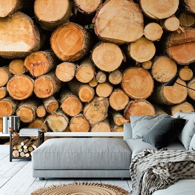 Fotomural Premium 3P-40010 2