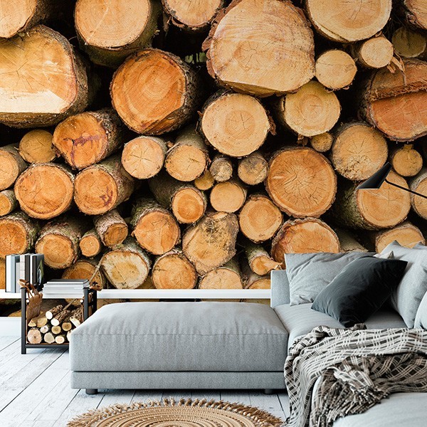 Fotomural Premium 3P-40010