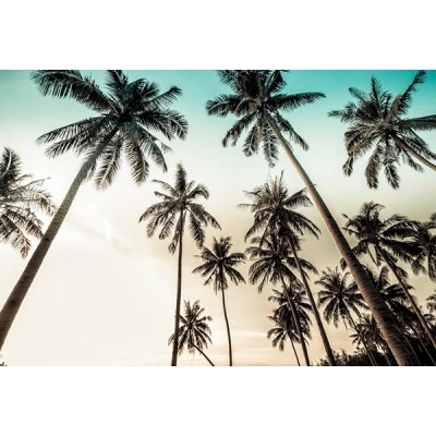 Fotomural Premium 3P-20005 Fotomural Premium 3P-20005