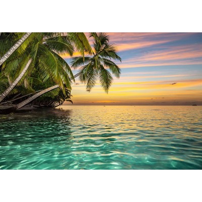 Fotomural Premium 3P-20001 Fotomural Premium 3P-20001